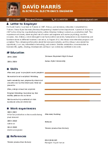 Engineer resume example